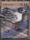 Andean Gull Chroicocephalus serranus  2014 Gulls Sheet