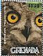 Spotted Owl Strix occidentalis  2015 Owls Sheet