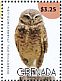 Burrowing Owl Athene cunicularia  2015 Owls Sheet