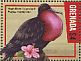 Magnificent Frigatebird Fregata magnificens  2016 Caribbean seabirds Sheet