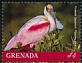 Roseate Spoonbill Platalea ajaja  2019 Roseate Spoonbill Sheet