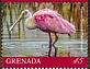 Roseate Spoonbill Platalea ajaja  2019 Roseate Spoonbill Sheet