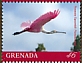 Roseate Spoonbill Platalea ajaja  2019 Roseate Spoonbill Sheet