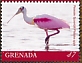 Roseate Spoonbill Platalea ajaja  2019 Roseate Spoonbill Sheet