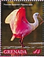 Roseate Spoonbill Platalea ajaja  2019 Roseate Spoonbill Sheet