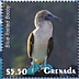 Blue-footed Booby Sula nebouxii  2020 Seabirds Sheet