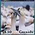 Northern Gannet Morus bassanus  2020 Seabirds Sheet