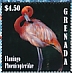 American Flamingo Phoenicopterus ruber  2020 Flamingo Sheet