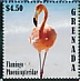 American Flamingo Phoenicopterus ruber  2020 Flamingo Sheet