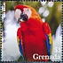 Scarlet Macaw Ara macao  2022 Scarlet Macaw Sheet