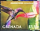 Jamaican Mango Anthracothorax mango  2023 Hummingbirds of the Caribbean Sheet
