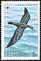 Audubon's Shearwater Puffinus lherminieri