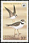 Semipalmated Plover Charadrius semipalmatus  1978 WWF 