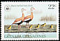 Black-bellied Whistling Duck Dendrocygna autumnalis  1978 WWF 