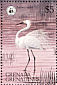 Snowy Egret Egretta thula  1978 WWF  MS