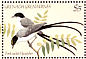 Fork-tailed Flycatcher Tyrannus savana