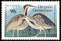 American Bittern Botaurus lentiginosus