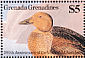 King Eider Somateria spectabilis