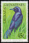 Carib Grackle Quiscalus lugubris  1990 Birds 