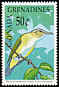 Black-whiskered Vireo Vireo altiloquus