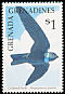 White-collared Swift Streptoprocne zonaris  1990 Birds 