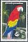 Scarlet Macaw Ara macao