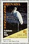 Wood Stork Mycteria americana  1995 Sierra Club 9v sheet