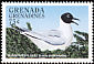 Bonaparte's Gull Chroicocephalus philadelphia  1998 Seabirds 