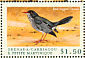 Red-legged Thrush Turdus plumbeus