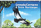 Andean Condor Vultur gryphus