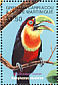 Red-breasted Toucan Ramphastos dicolorus