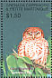 Cuban Pygmy Owl Glaucidium siju