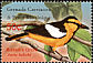 Bullock's Oriole Icterus bullockii  2003 Birds of the world 