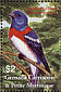 Lazuli Bunting Passerina amoena  2003 Birds of the world Sheet