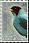 Green Honeycreeper Chlorophanes spiza  2007 Birds 