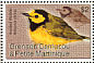 Hooded Warbler Setophaga citrina