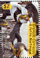 Royal Penguin Eudyptes schlegeli