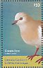 Grenada Dove Leptotila wellsi  2015 Birds of Grenada  MS