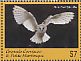 American Barn Owl Tyto furcata  2017 Barn Owl Sheet