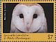 American Barn Owl Tyto furcata  2017 Barn Owl Sheet