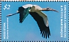 Wood Stork Mycteria americana  2019 Wood Stork Sheet