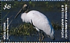 Wood Stork Mycteria americana  2019 Wood Stork Sheet