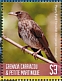 Pearly-eyed Thrasher Margarops fuscatus  2019 Colorful birds Sheet