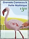 Lesser Flamingo Phoeniconaias minor  2021 Flamingos Sheet