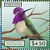 Costa's Hummingbird Calypte costae  2021 Hummingbirds Sheet