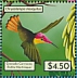 Ruby-topaz Hummingbird Chrysolampis mosquitus  2021 Hummingbirds Sheet