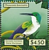 White-chested Emerald Chrysuronia brevirostris  2021 Hummingbirds Sheet