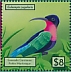 Purple-throated Carib Eulampis jugularis  2021 Hummingbirds Sheet