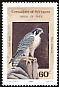 Peregrine Falcon Falco peregrinus