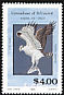 Western Osprey Pandion haliaetus  1986 Birds of prey 